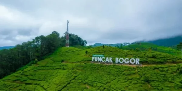 WhatsApp-Image-2025-08-29-at-205723-599898262